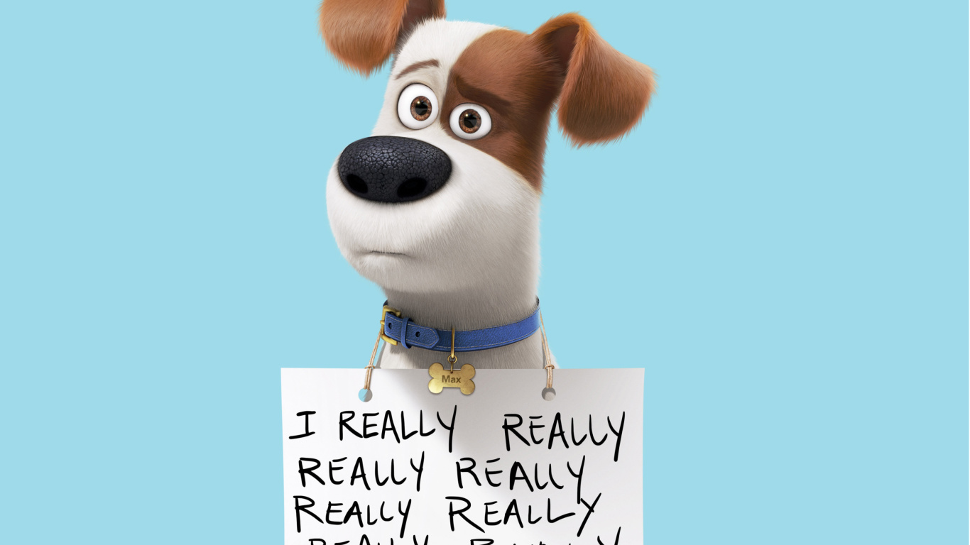 Fondo de pantalla Max from The Secret Life of Pets 1366x768