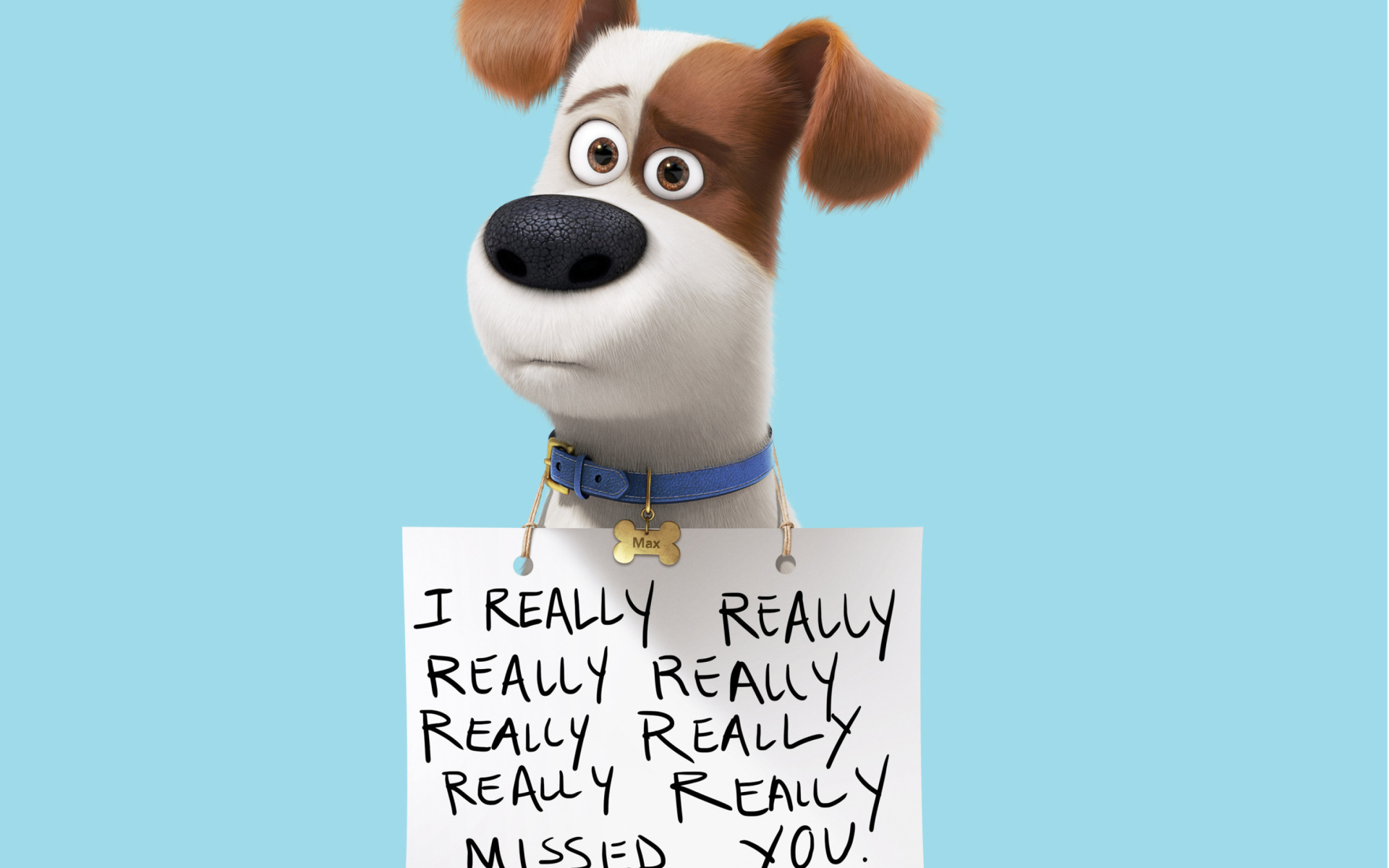 Fondo de pantalla Max from The Secret Life of Pets 1920x1200