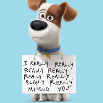 Das Max from The Secret Life of Pets Wallpaper 208x208