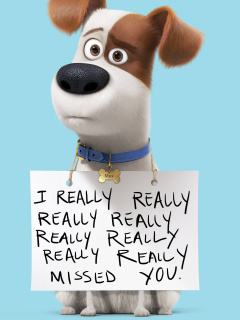 Обои Max from The Secret Life of Pets 240x320