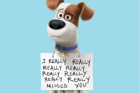 Обои Max from The Secret Life of Pets 480x320
