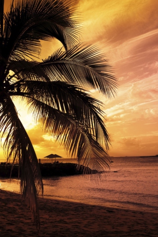 Sunset At The Bay wallpaper 320x480