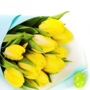 Yellow Tulips screenshot #1 128x128
