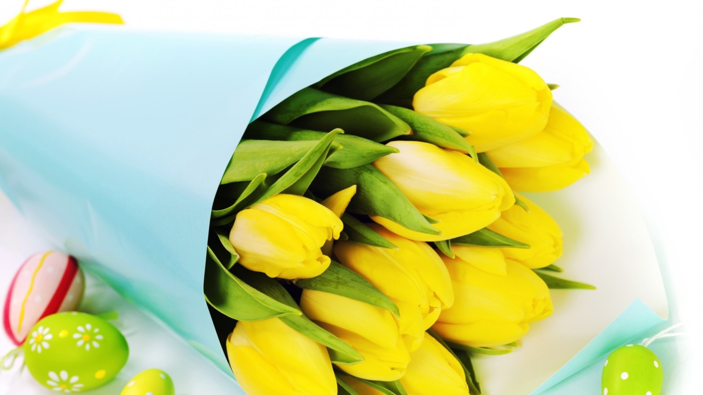 Yellow Tulips wallpaper 1366x768