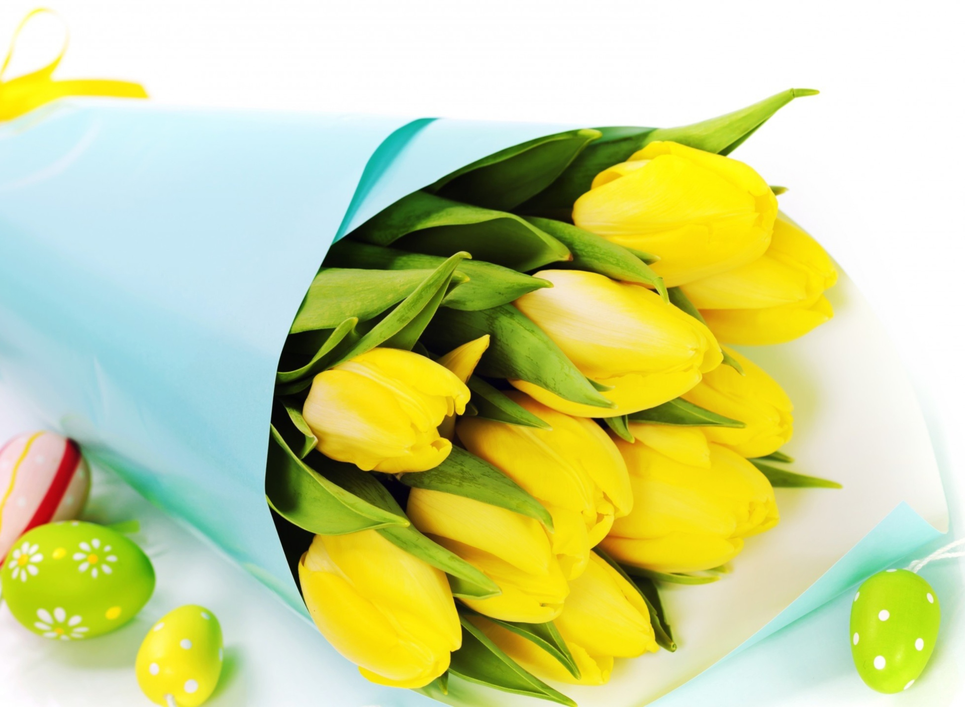 Fondo de pantalla Yellow Tulips 1920x1408