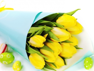 Обои Yellow Tulips 320x240