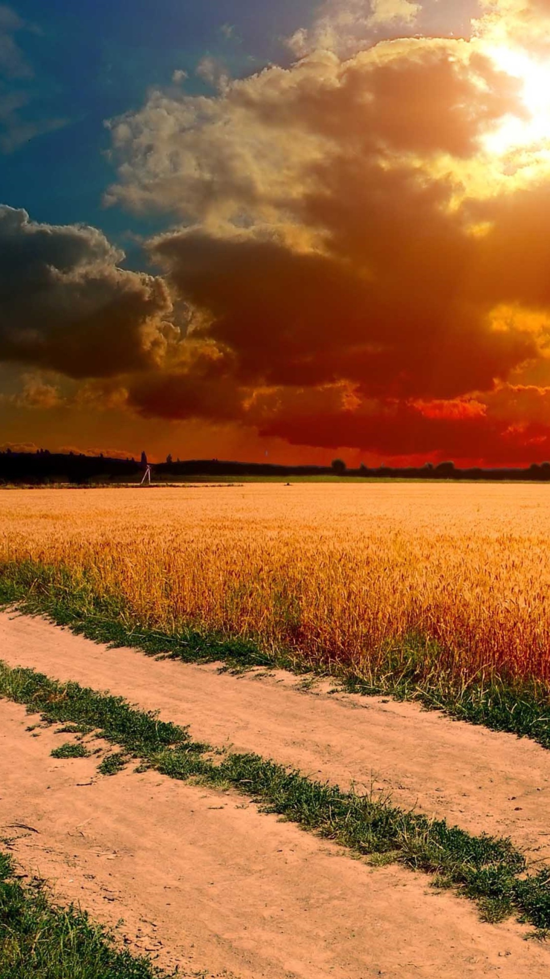 Das Field Sunset Wallpaper 1080x1920