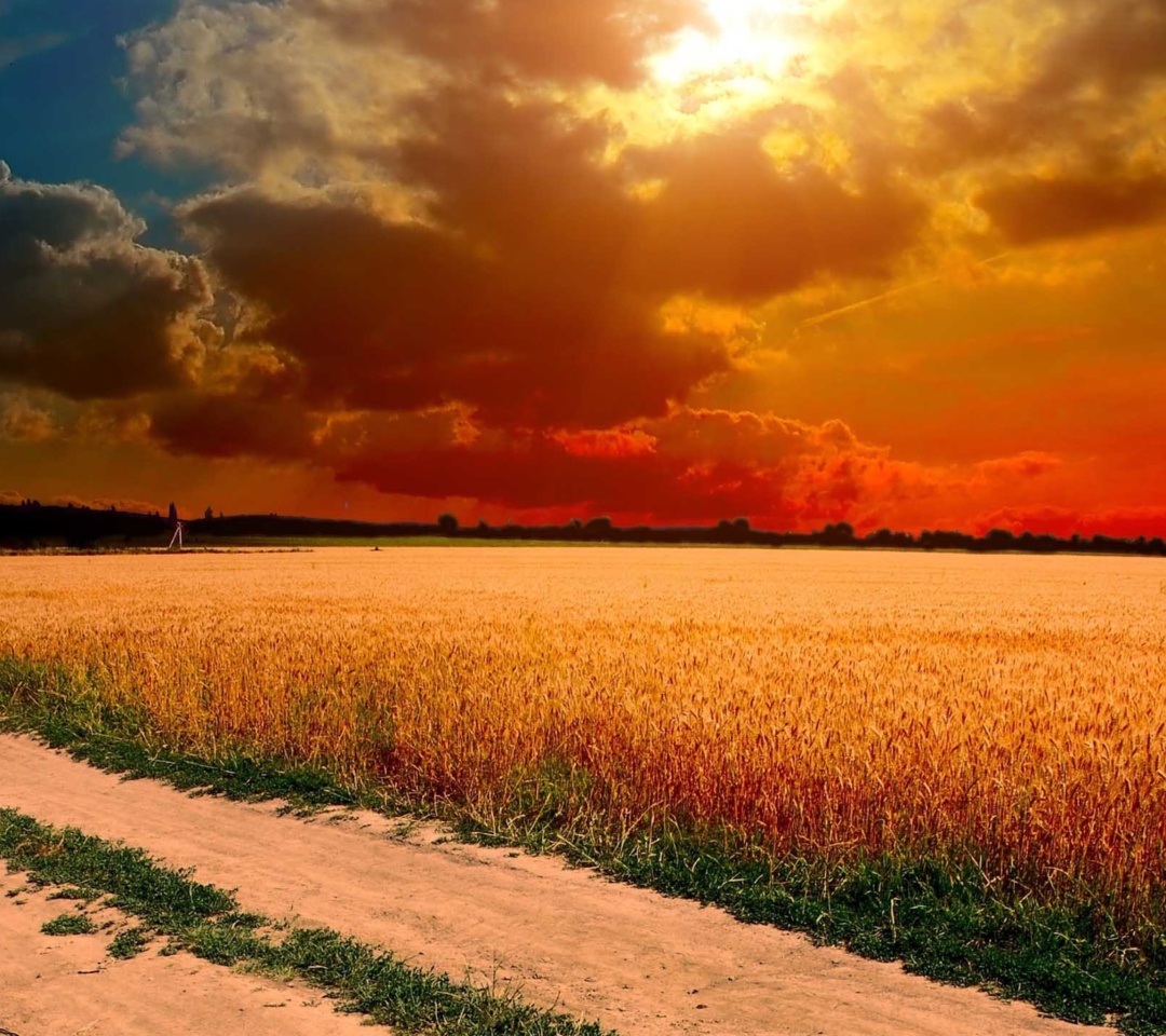 Das Field Sunset Wallpaper 1080x960