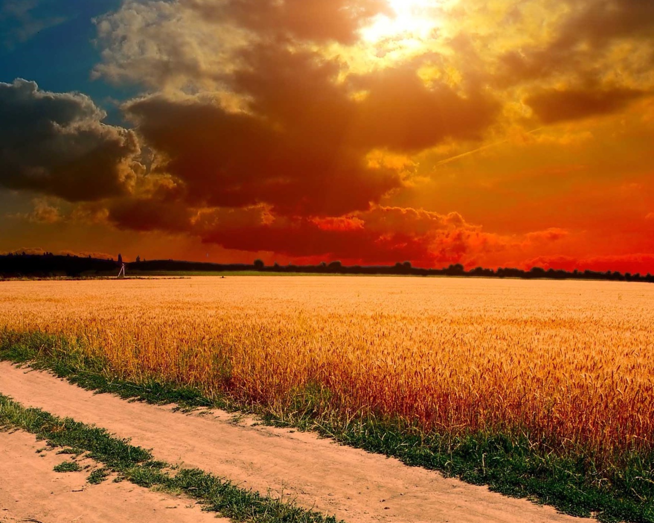 Das Field Sunset Wallpaper 1280x1024