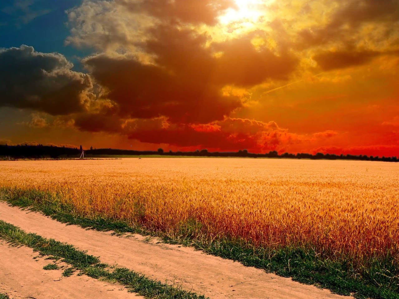 Das Field Sunset Wallpaper 1280x960