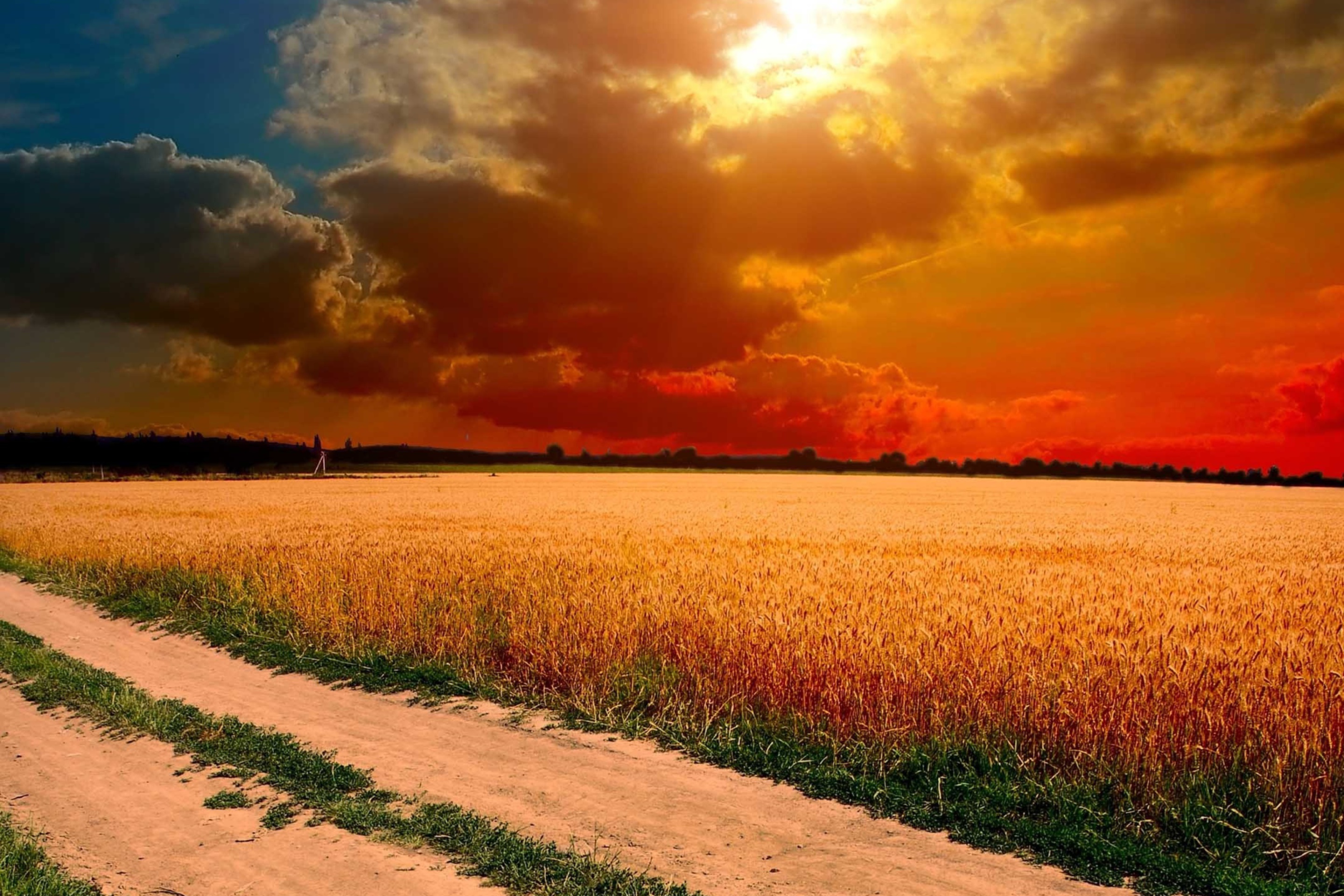 закат поле рожь sunset field rye загрузить
