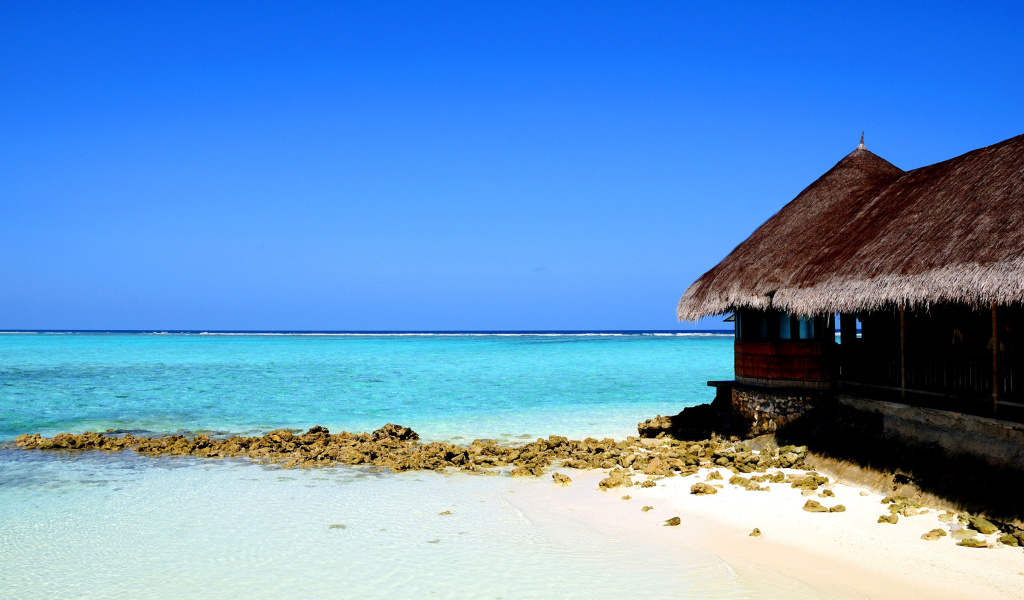 Screenshot №1 pro téma Best Mauritius Beach - La Preneuse 1024x600