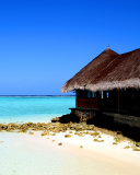 Обои Best Mauritius Beach - La Preneuse 128x160
