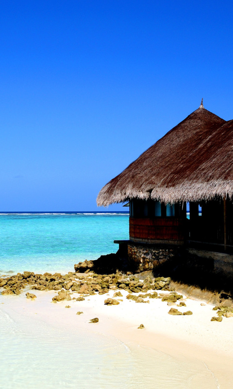 Обои Best Mauritius Beach - La Preneuse 480x800