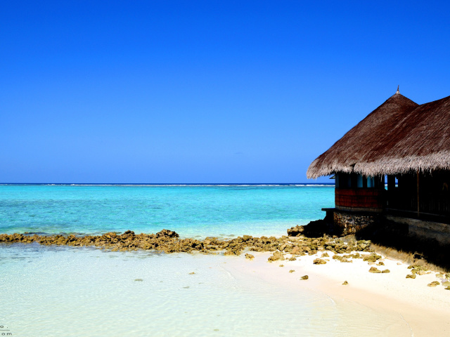 Das Best Mauritius Beach - La Preneuse Wallpaper 640x480