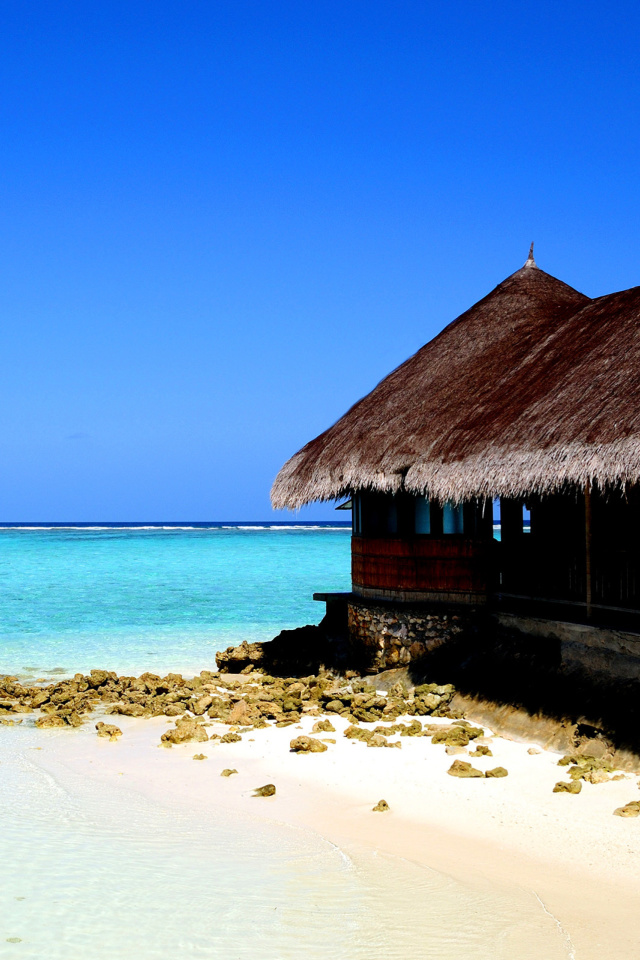 Sfondi Best Mauritius Beach - La Preneuse 640x960