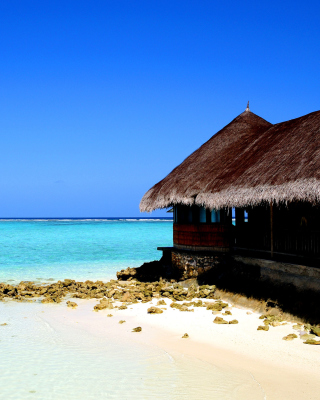 Kostenloses Best Mauritius Beach - La Preneuse Wallpaper für iPhone 3G S