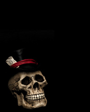 Screenshot №1 pro téma Lucky Skull 176x220