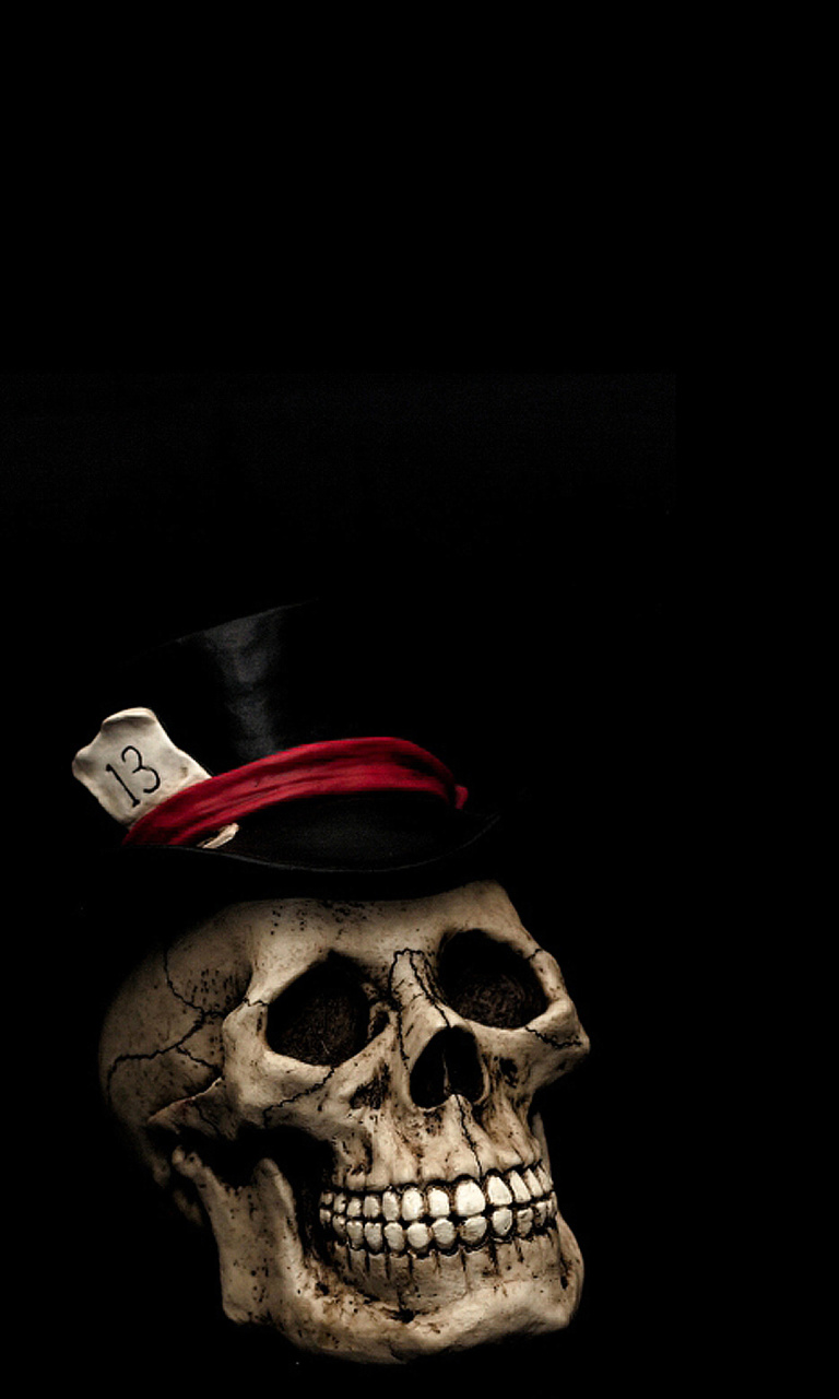 Screenshot №1 pro téma Lucky Skull 768x1280