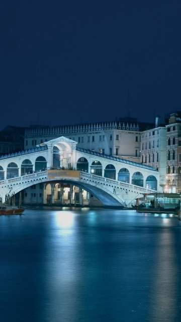 Fondo de pantalla Night in Venice Grand Canal 360x640