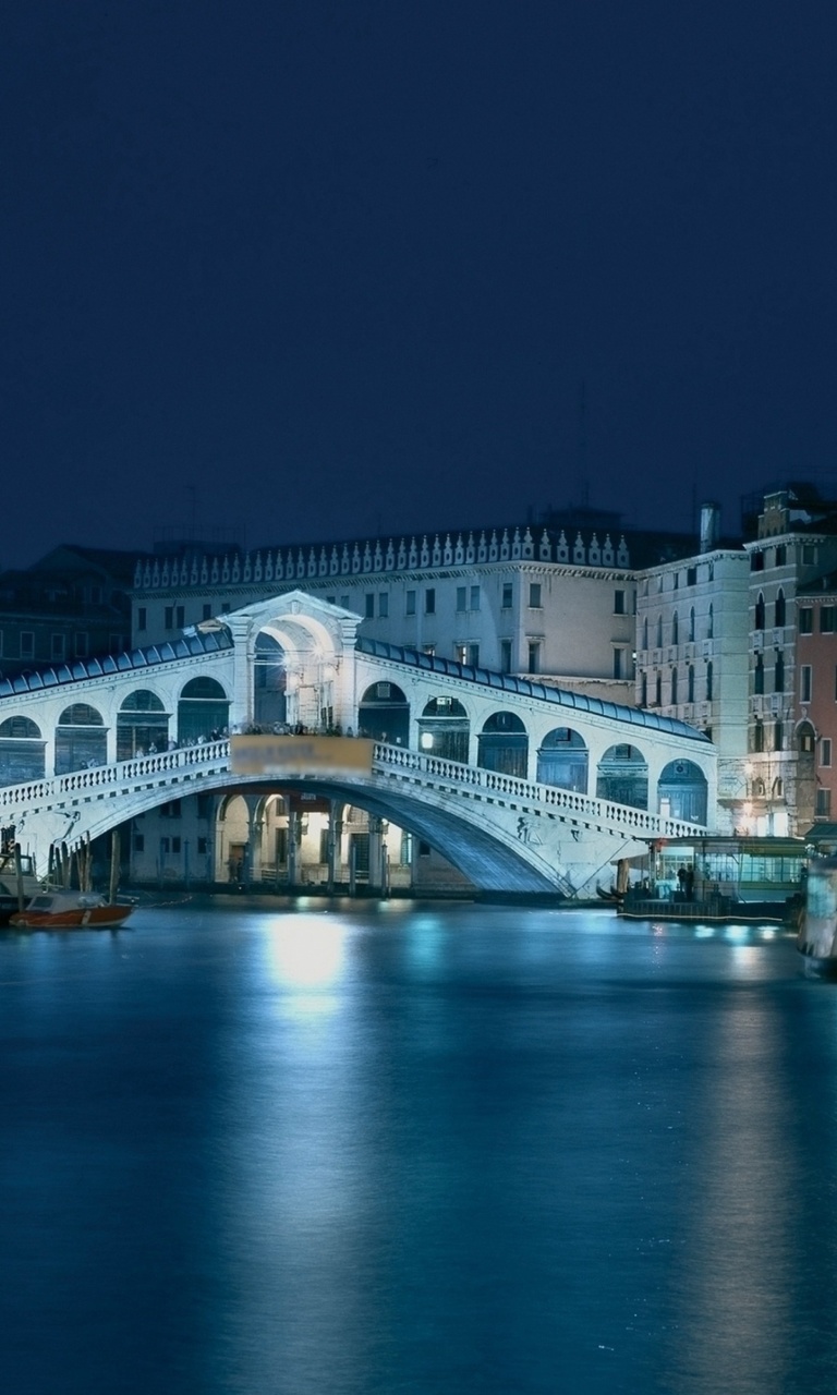 Sfondi Night in Venice Grand Canal 768x1280
