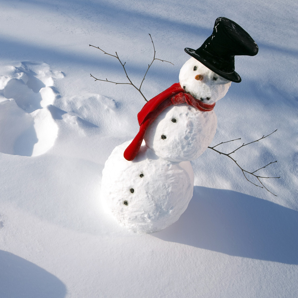Happy Snowman wallpaper 1024x1024
