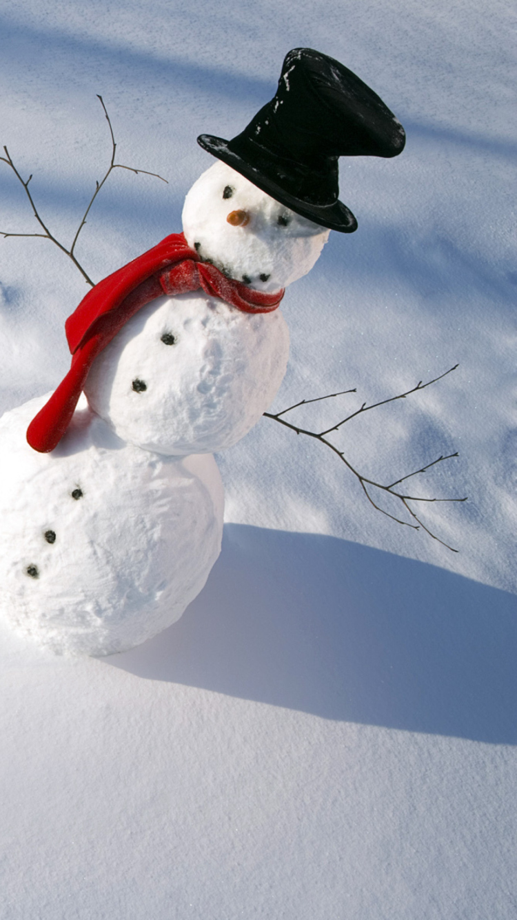 Happy Snowman wallpaper 750x1334