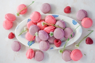 Free I Love Macarons Picture for Android, iPhone and iPad