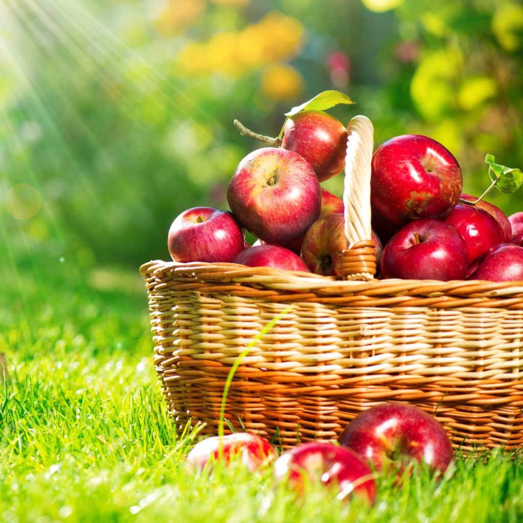 Обои Red Apples In Basket 1024x1024