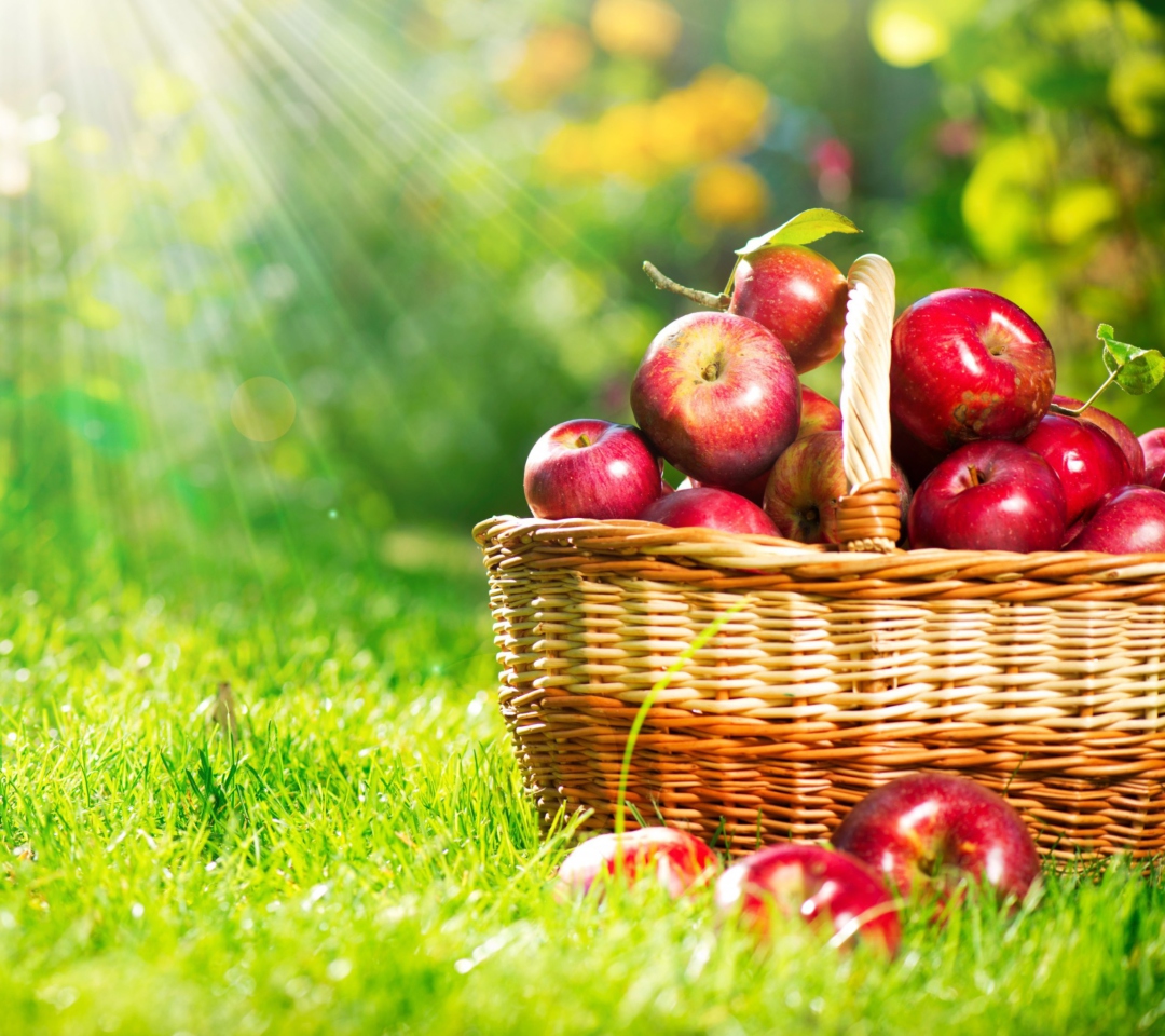 Обои Red Apples In Basket 1080x960