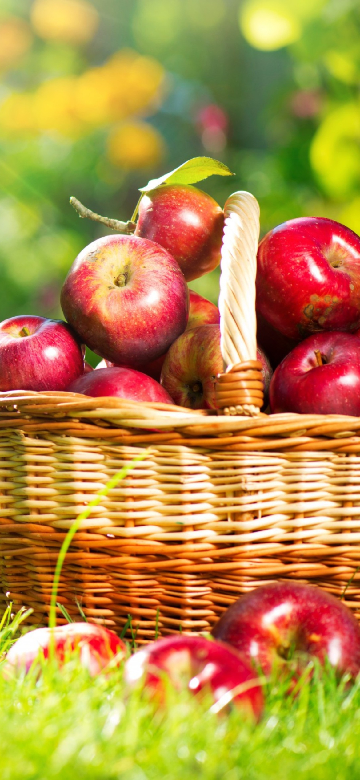 Обои Red Apples In Basket 1170x2532