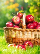 Sfondi Red Apples In Basket 132x176
