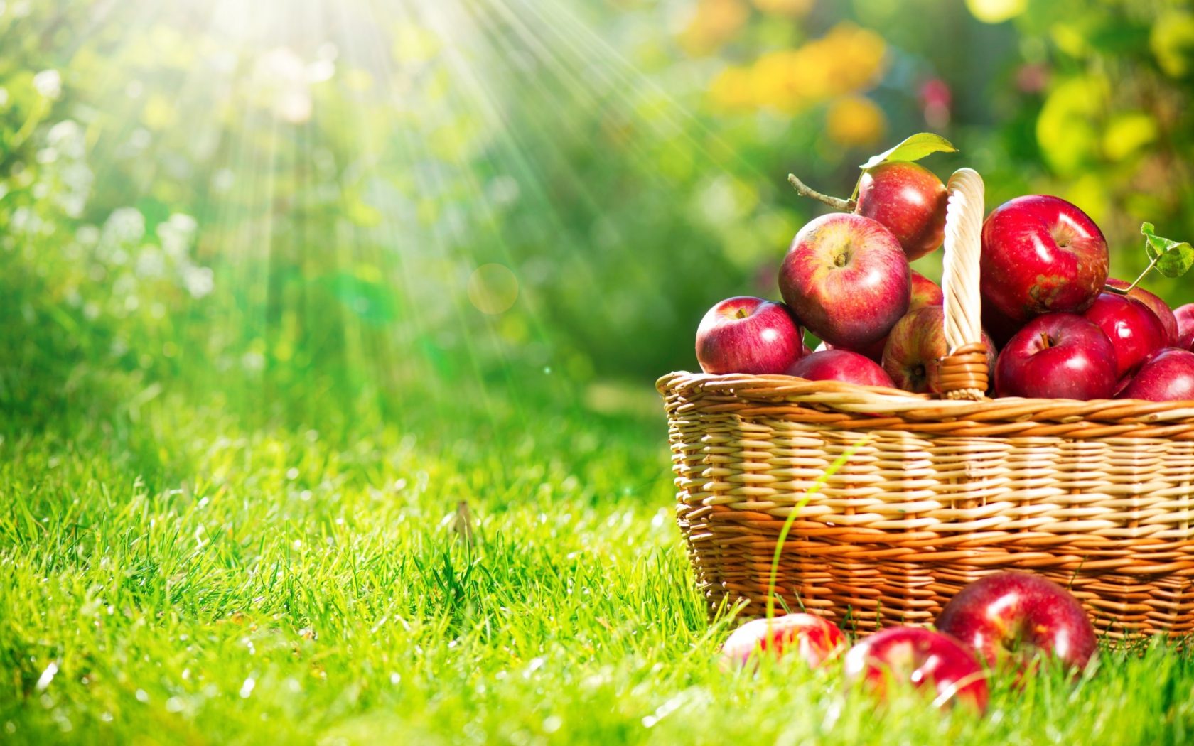Обои Red Apples In Basket 1680x1050