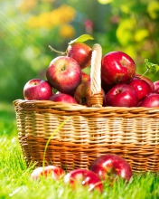 Screenshot №1 pro téma Red Apples In Basket 176x220