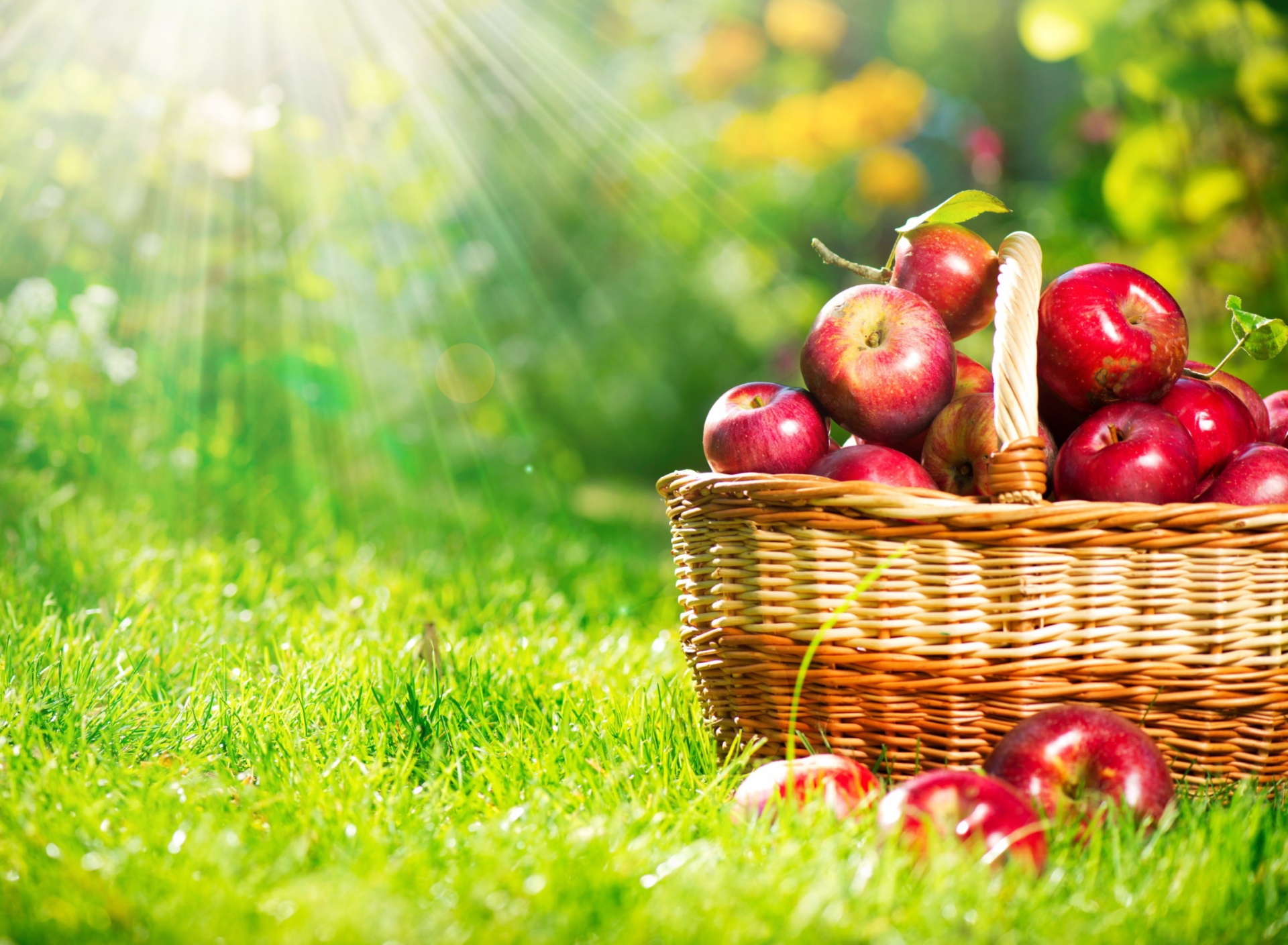 Обои Red Apples In Basket 1920x1408