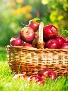 Обои Red Apples In Basket 240x320