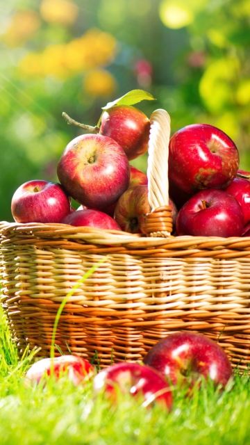 Das Red Apples In Basket Wallpaper 360x640