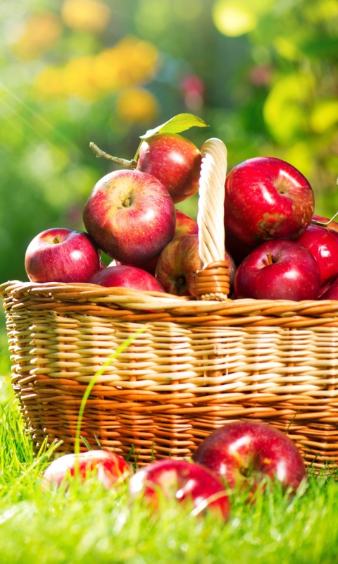 Red Apples In Basket screenshot #1 480x800
