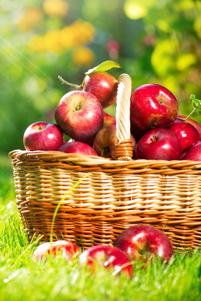 Red Apples In Basket wallpaper 640x960