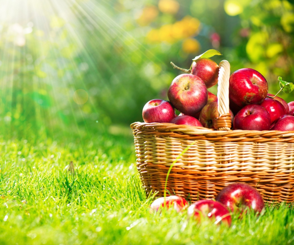 Das Red Apples In Basket Wallpaper 960x800