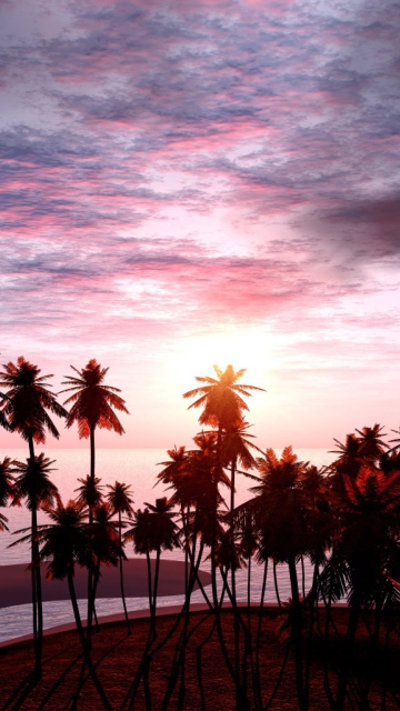Jungle Sunset screenshot #1 360x640