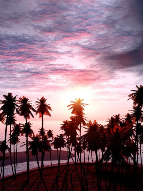 Jungle Sunset screenshot #1 480x640