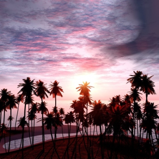 Jungle Sunset - Obrázkek zdarma pro 128x128