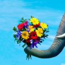 Elephant's Gift screenshot #1 128x128