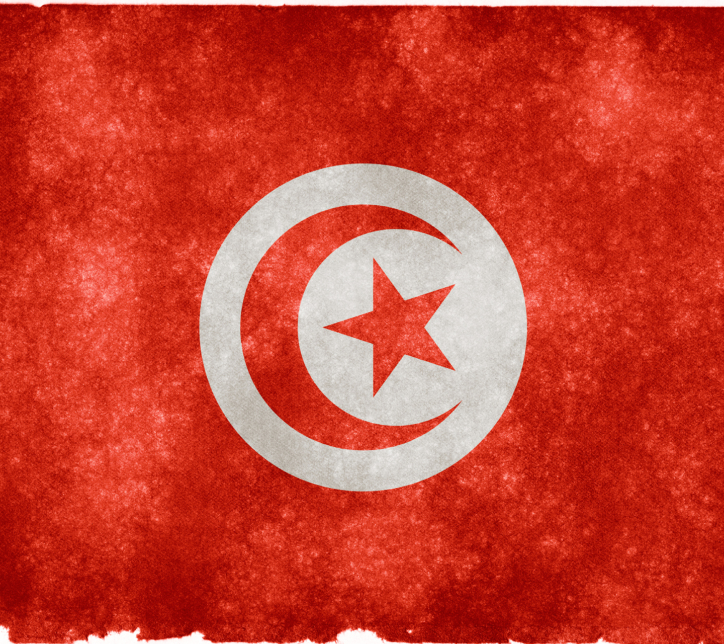 Fondo de pantalla Tunisia Flag 1440x1280