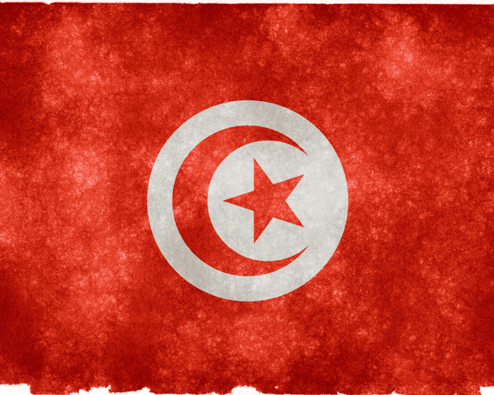 Fondo de pantalla Tunisia Flag 1600x1280