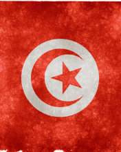 Das Tunisia Flag Wallpaper 176x220