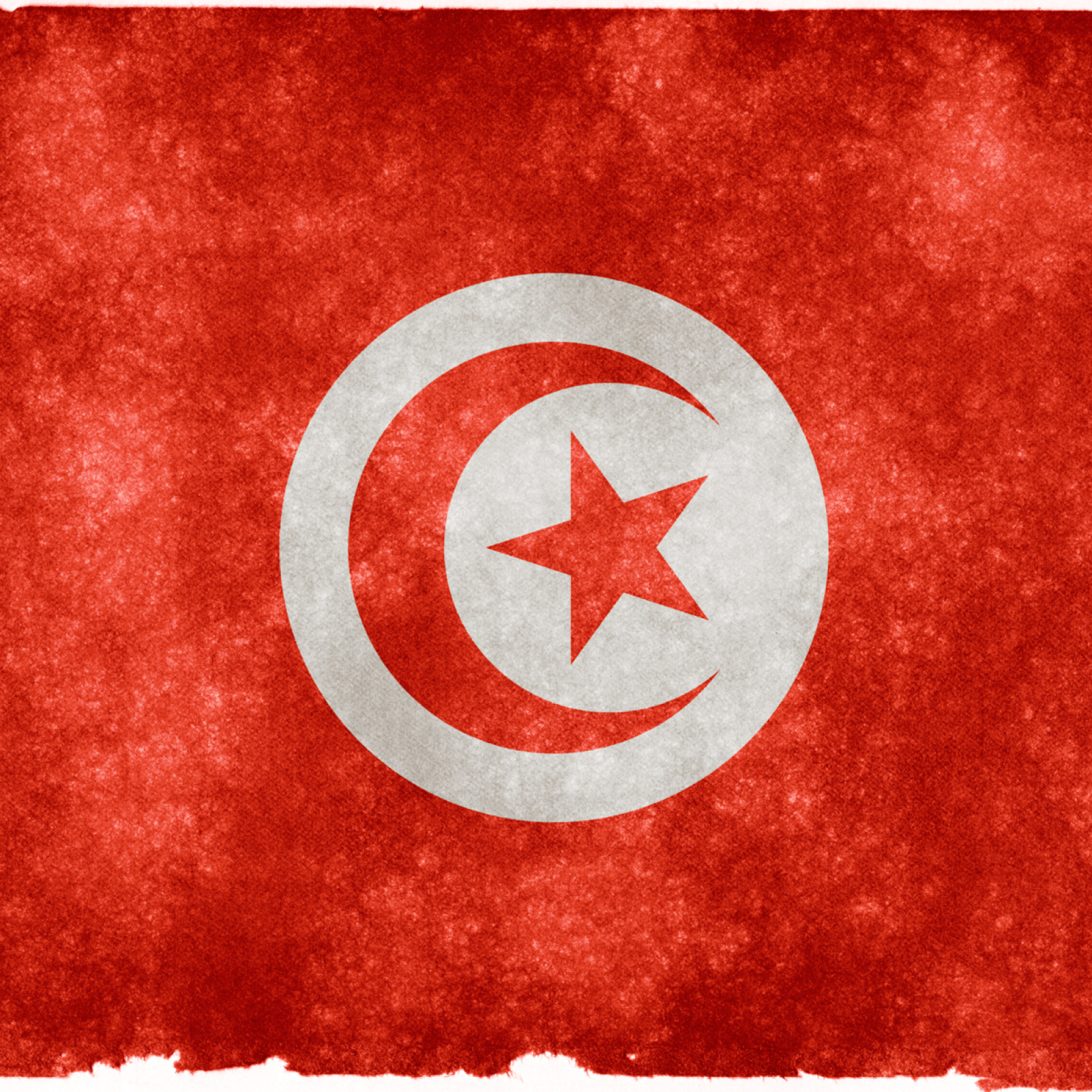 Tunisia Flag wallpaper 2048x2048