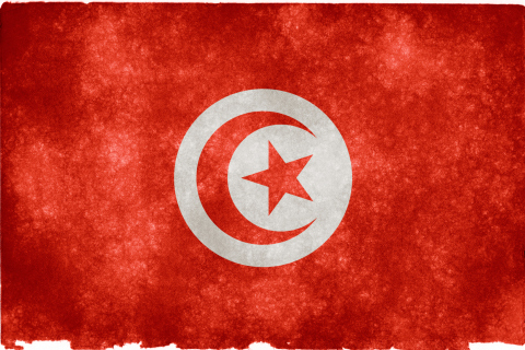 Fondo de pantalla Tunisia Flag 480x320