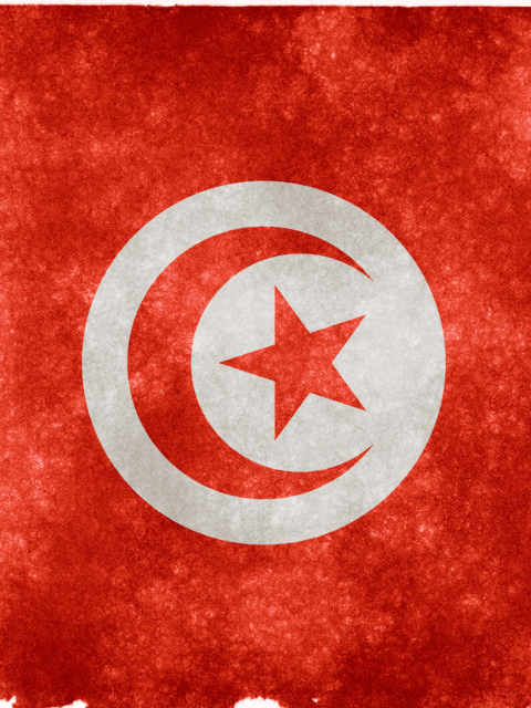 Tunisia Flag wallpaper 480x640